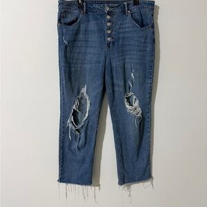 Wild Fable Ripped Blue Ankle Jeans